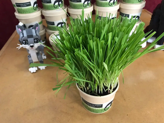 Compostable Combo Pack