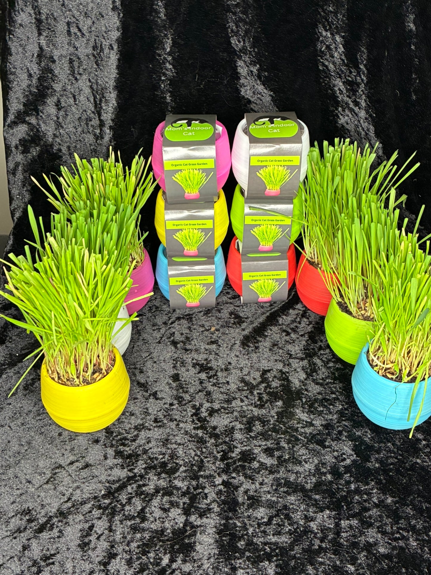 Cat Grass Ball Case