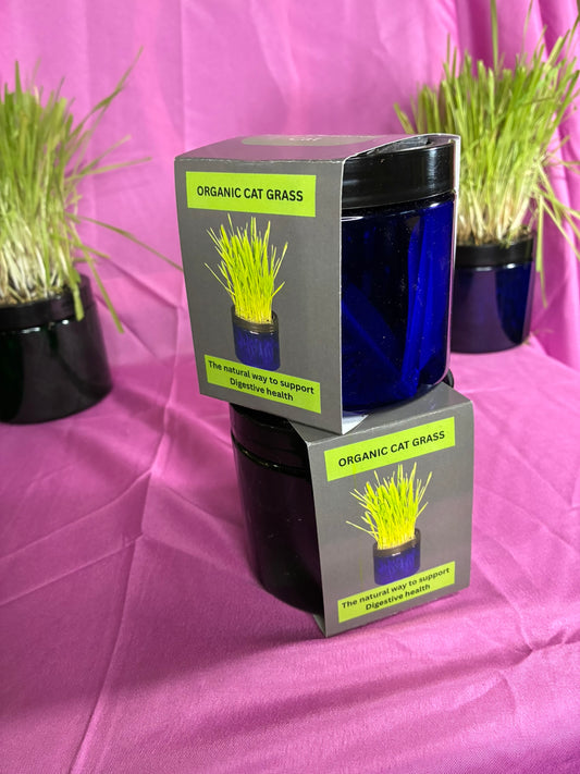 2 Beautiful Jars Kits