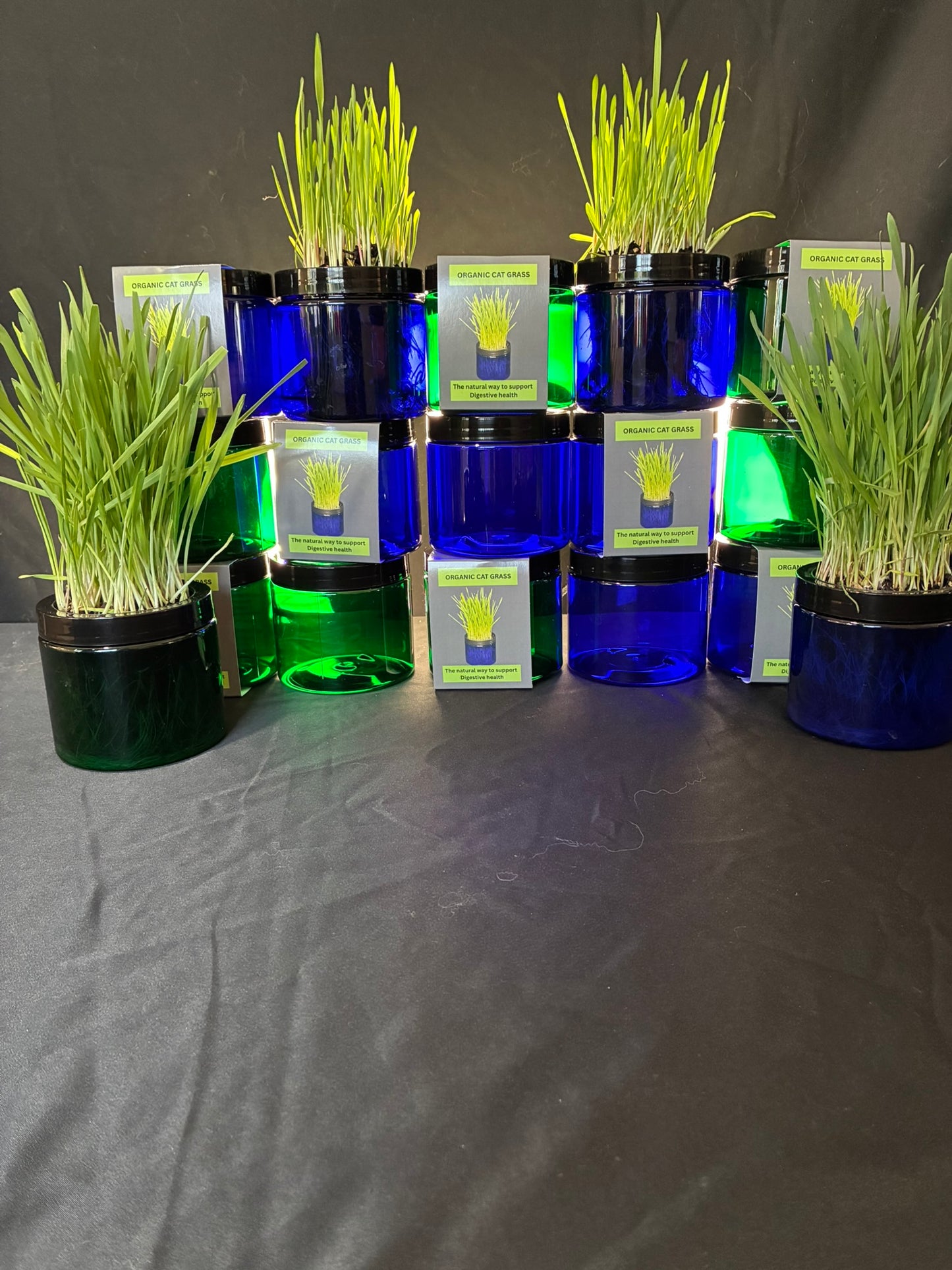 blue and green cat grass jars in a stack together