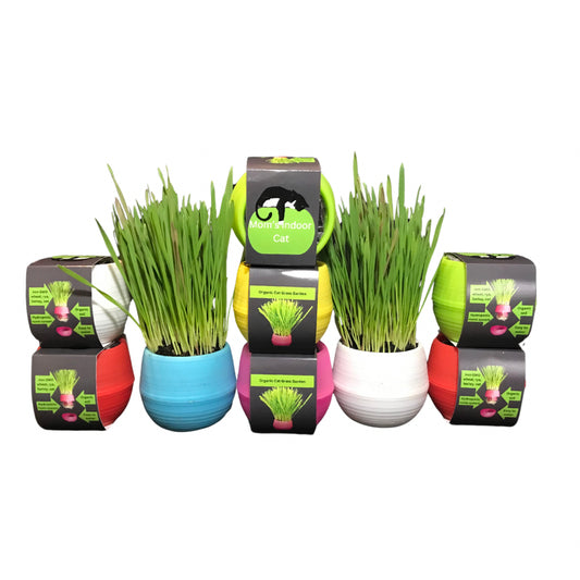 Cat Grass Balls (18x)