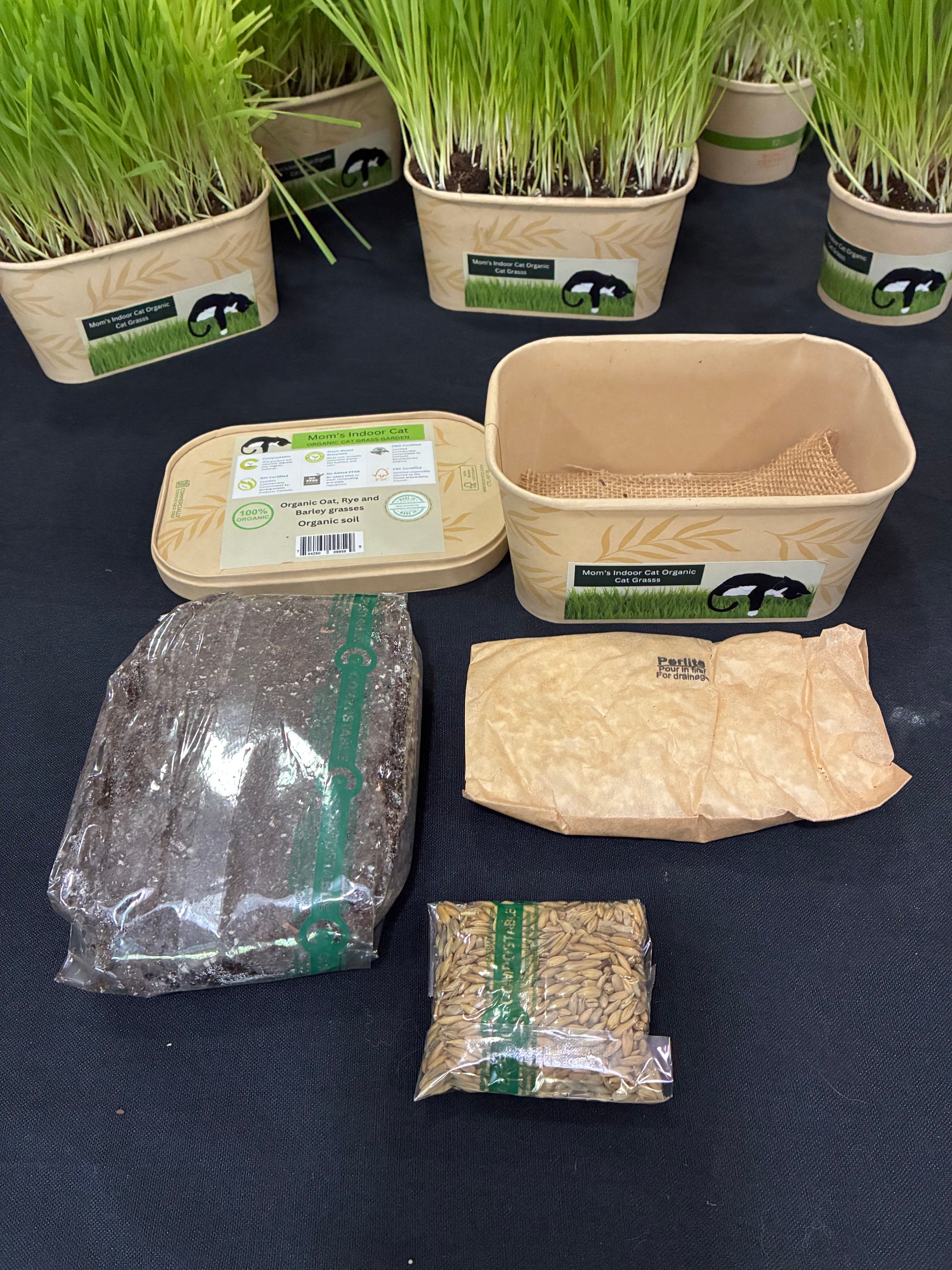 cat grass bowl with contents showing soil seeds and perlite