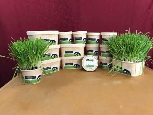 Compostable Combo Pack