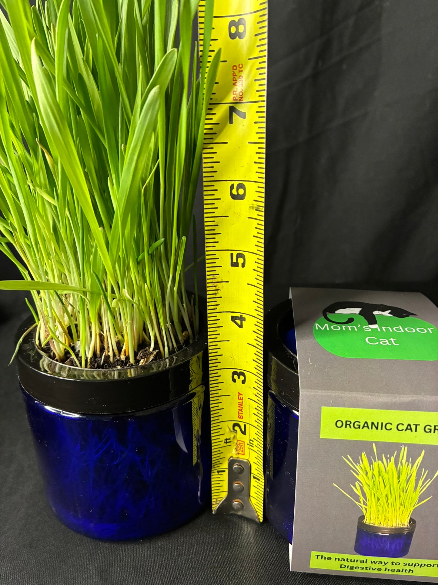 3.5 inch height of cat grass jars 