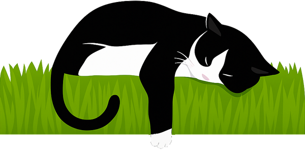Mom's Indoor Cat